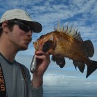 Tanaku-Lodge-52-Alaska-Sea-Bass-590x442-web-otc