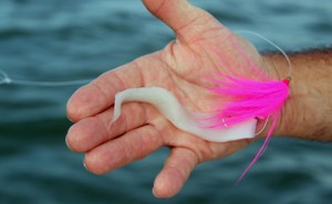 Long, thin strips of squid work well for a variety of bay and near-shore ocean species including weakfish, fluke, porgies and sea bass. Capt. Tom Federico recommends adding a pink teaser above the hook if weakfish are the target.