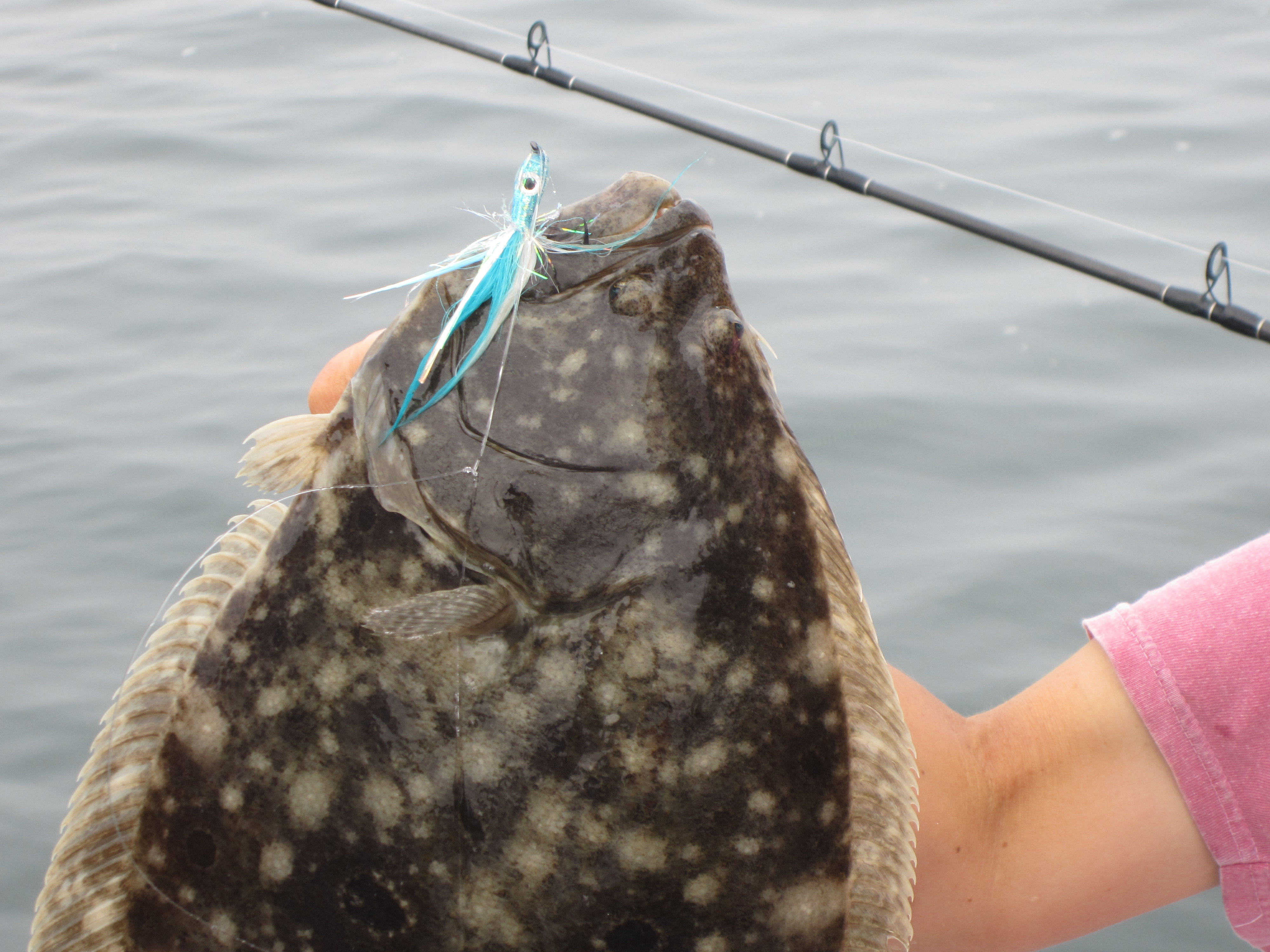  Bucktail Teasers Fishing Hook Saltwater Fishing Lures Fluke  Rig Fishing Jig Hooks Mylar Flash Bucktail Teasers : Sports & Outdoors